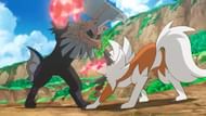 Lycanroc is very possessive of its coat (Image via The Pokemon Company)